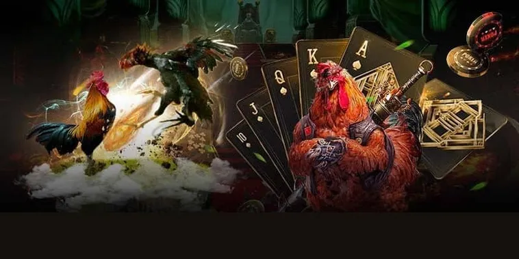 Bí Kíp Vàng Trong Cách Chơi Đá Gà GA28 Tại 566Bet Giúp Bạn Bất Bại